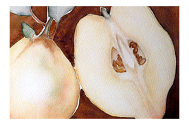 Renaissance Quince